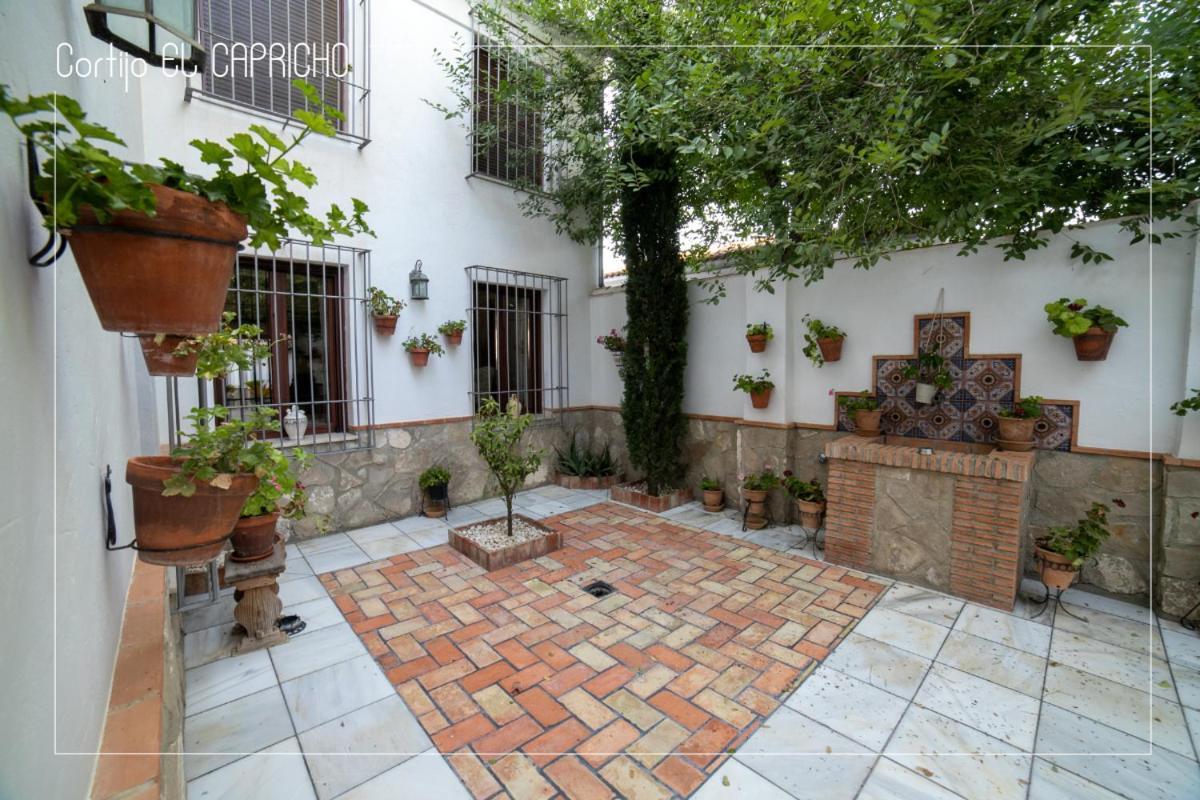 Villa Cortijo El Segador Y El Capricho à Almedinilla Extérieur photo