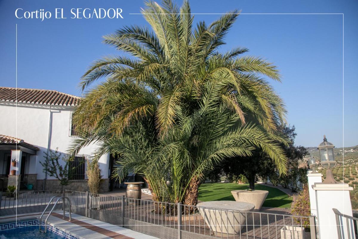 Villa Cortijo El Segador Y El Capricho à Almedinilla Extérieur photo